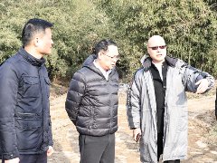 城投公司副总经理魏亚林一行赴z6com尊龙凯时灞桥项目考察